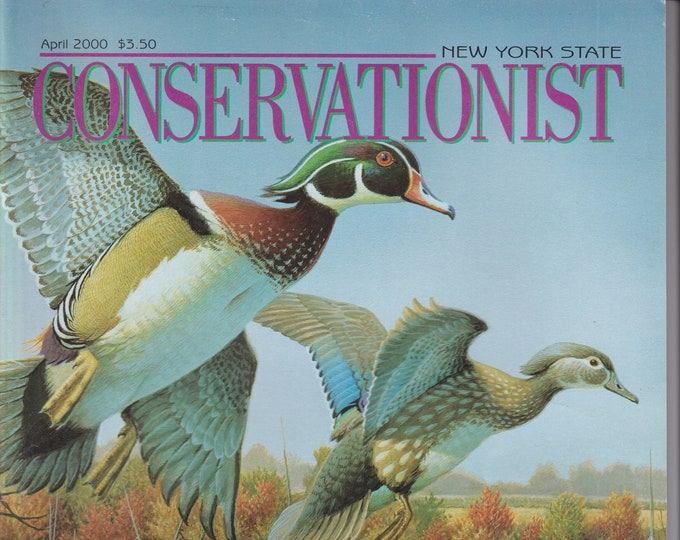 The Conservationist April 2000 NYS Migratory Bird Stamp (Magazine: Conservation, Nature, Environment, New York)