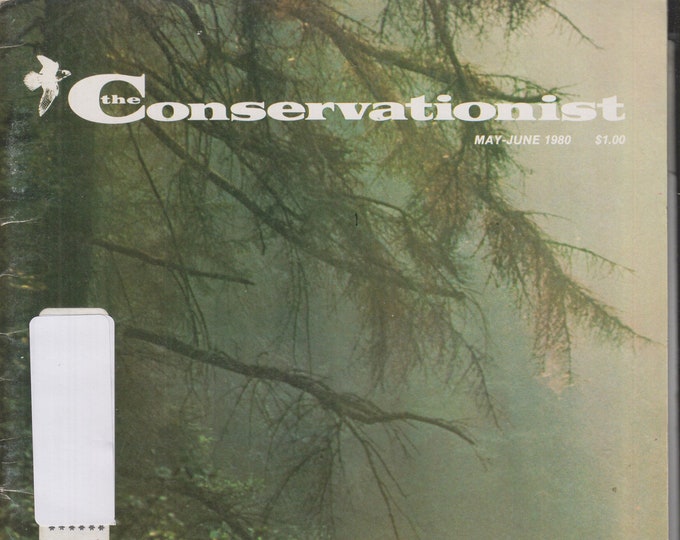 The Conservationist May June 1980 Why We Need Our Wetlands, Cattails, The Least Bittern(Magazine: Conservation, Nature)