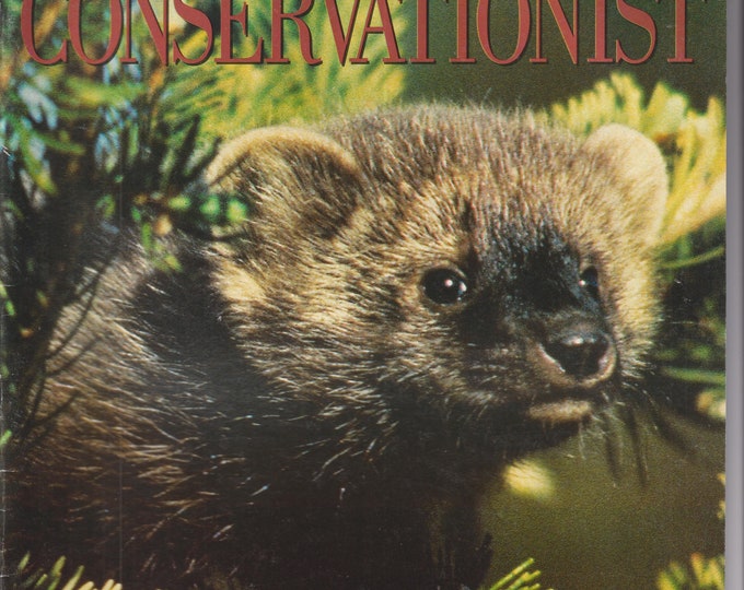 Conservationist February 2001 Fisher, Otters, Beetles, Winter Tracks  (Magazine:  Conservation, Nature)