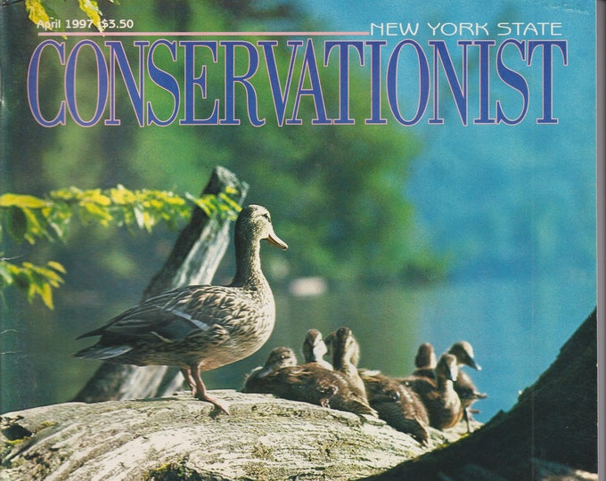 The Conservationist April 1997 Stirrings of Spring, Snowshoe Hare, NYS Parks  (Magazine: Conservation, Nature, Environment, New York)