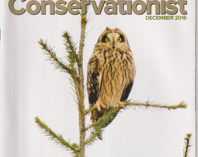 New York State Conservationist August 2019 Winter Raptors, Southern Pine Beetle  (Magazine: Conservation, Nature, Environment)