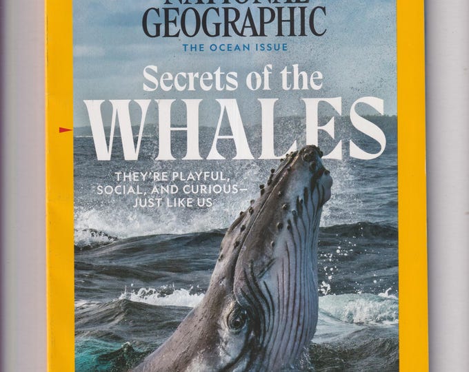 National Geographic May 2021 Secrets of the Whales, The Ocean Issue (Magazine: Geography, History, Nature)