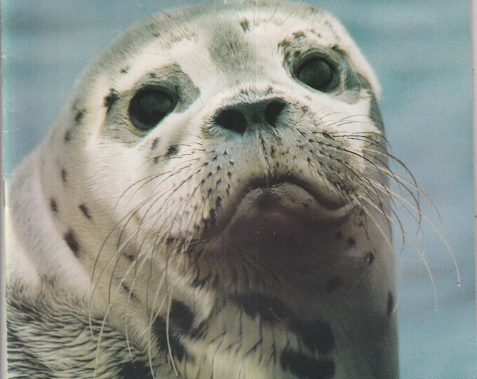 Conservationist December 1999 Seals, Dead Trees, Game Fare, Freshwater Sportfish of New York (Magazine: Nature, Conservation, Environment)