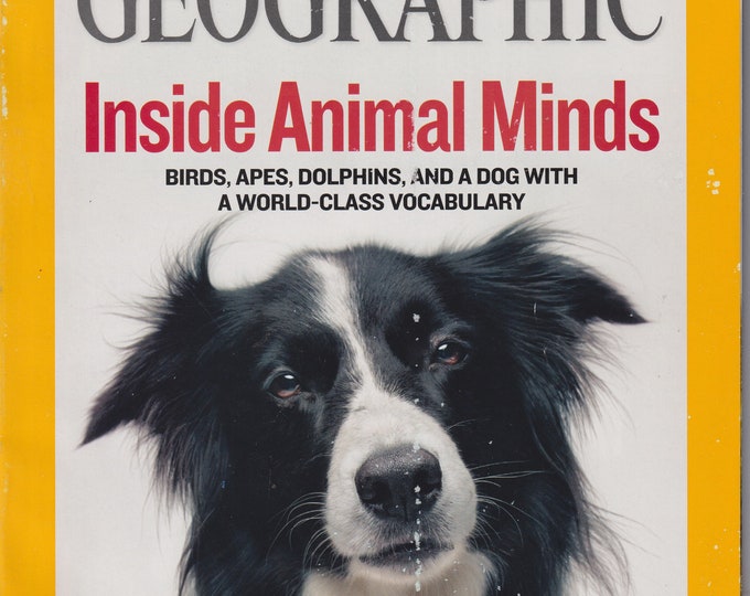 National Geographic March 2008 Inside Animal Minds - Birds, Apes, Dolphins, and A Dog with a World Class Vocabulary (Magazine: Geography)