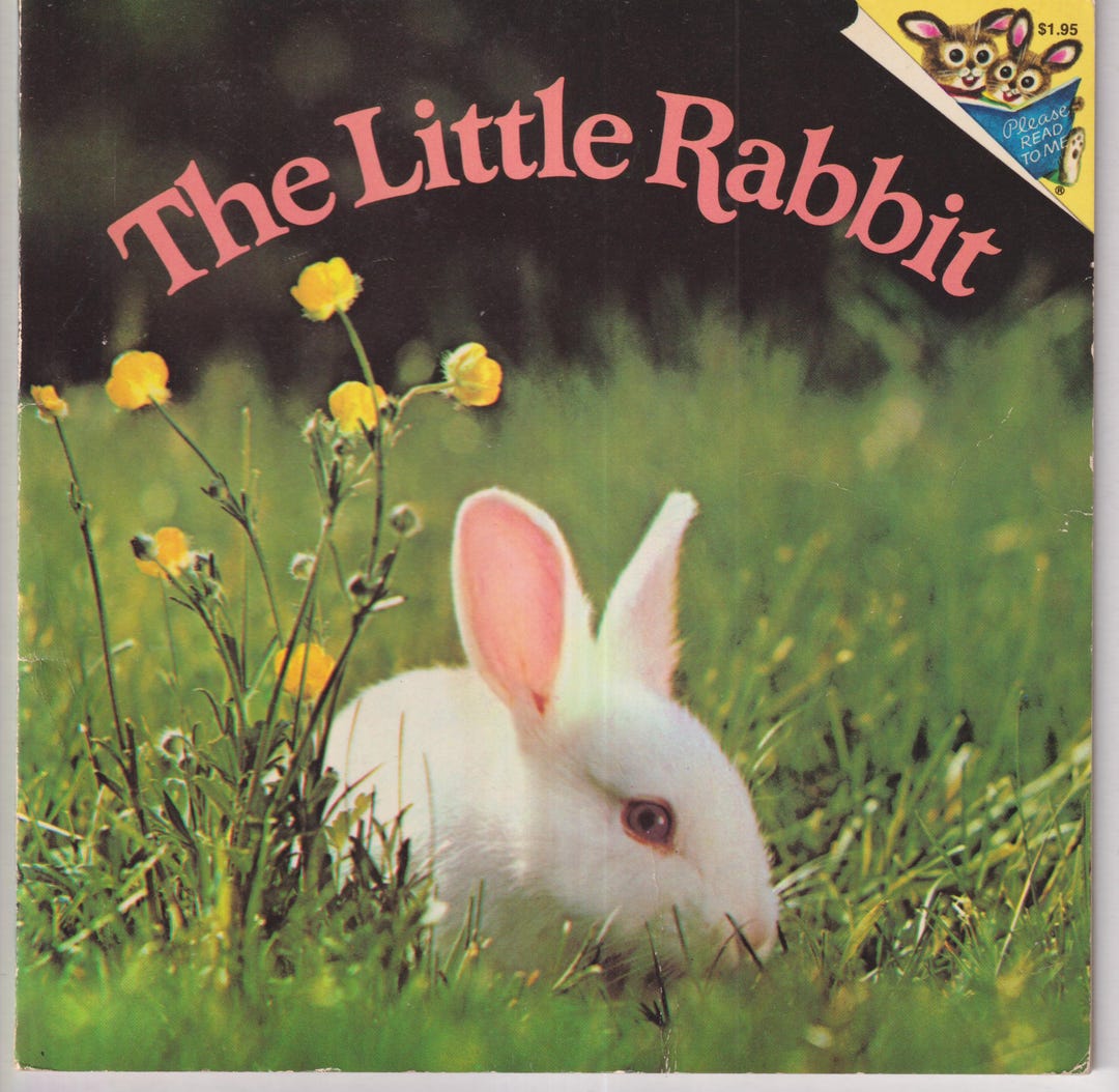 Run Little Rabbit Book The Little Rabbit (please Read to Me Series) (paperback: Children's ...