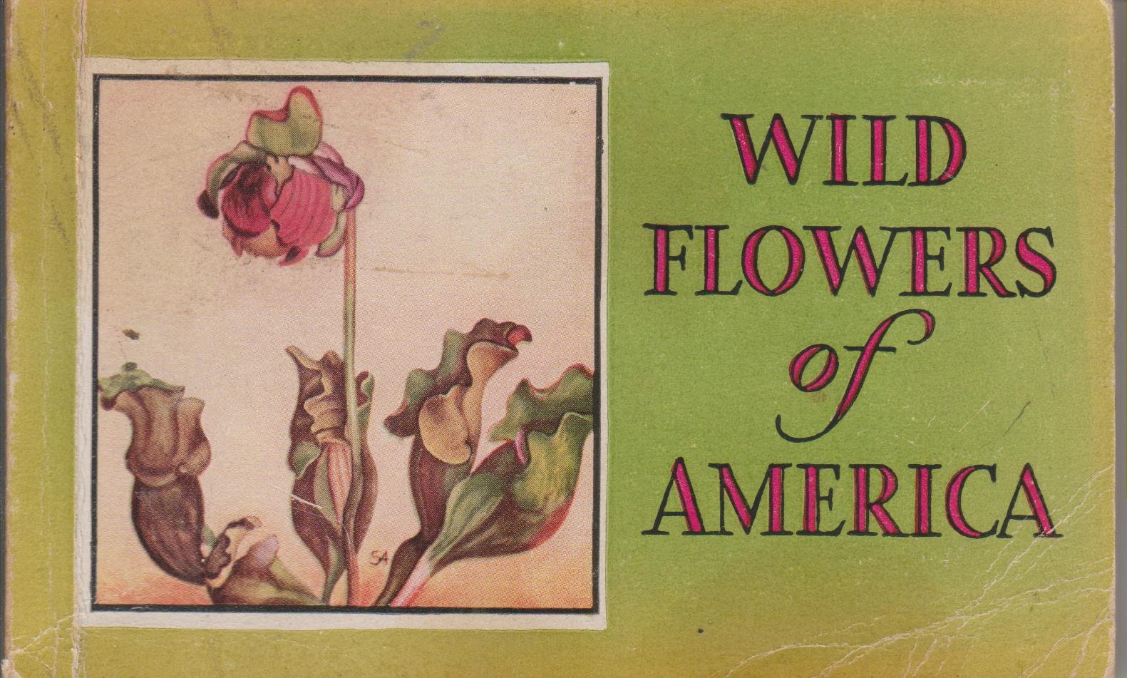 Wild Flowers of America (Paperback Gardening, Flowers) 1932