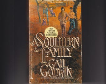 A Southern Family by Gail Godwin (Paperback: Fiction) 1988