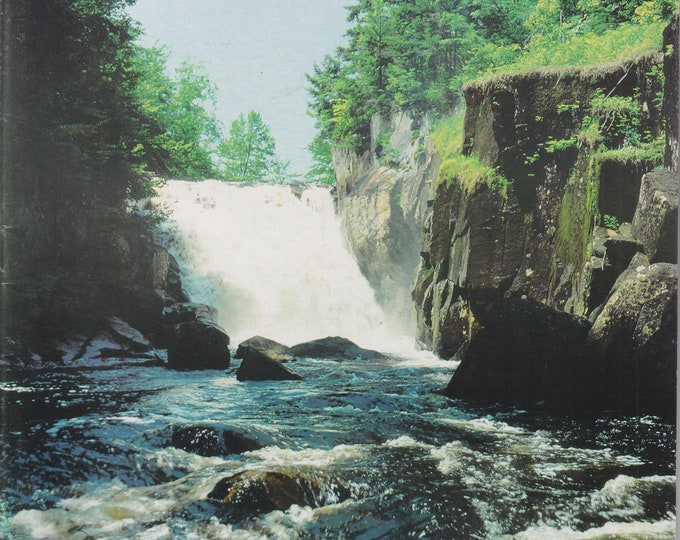 The Conservationist August 2000 Champion Lands, Life in a Stream (Magazine: Conservation, Nature, Environment, New York)