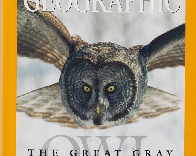 National Geographic February 2005 Great Gray Owl, Arabia, Bollywood, Syrian Tomb, Wilmington DE  (Magazine: General Interest, Nature)