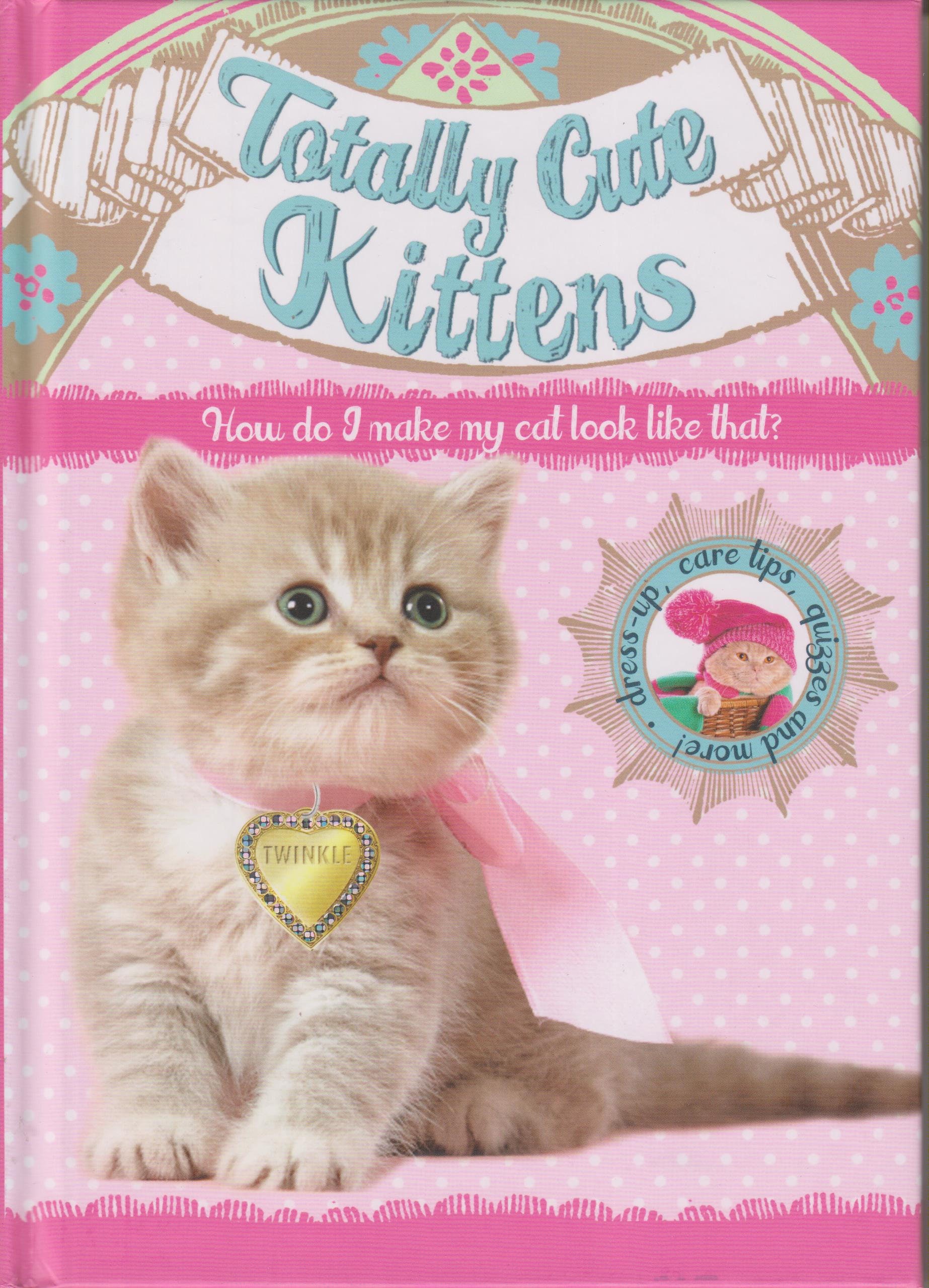 Totally Cute Kittens How do I make my cat look like that? (Totally