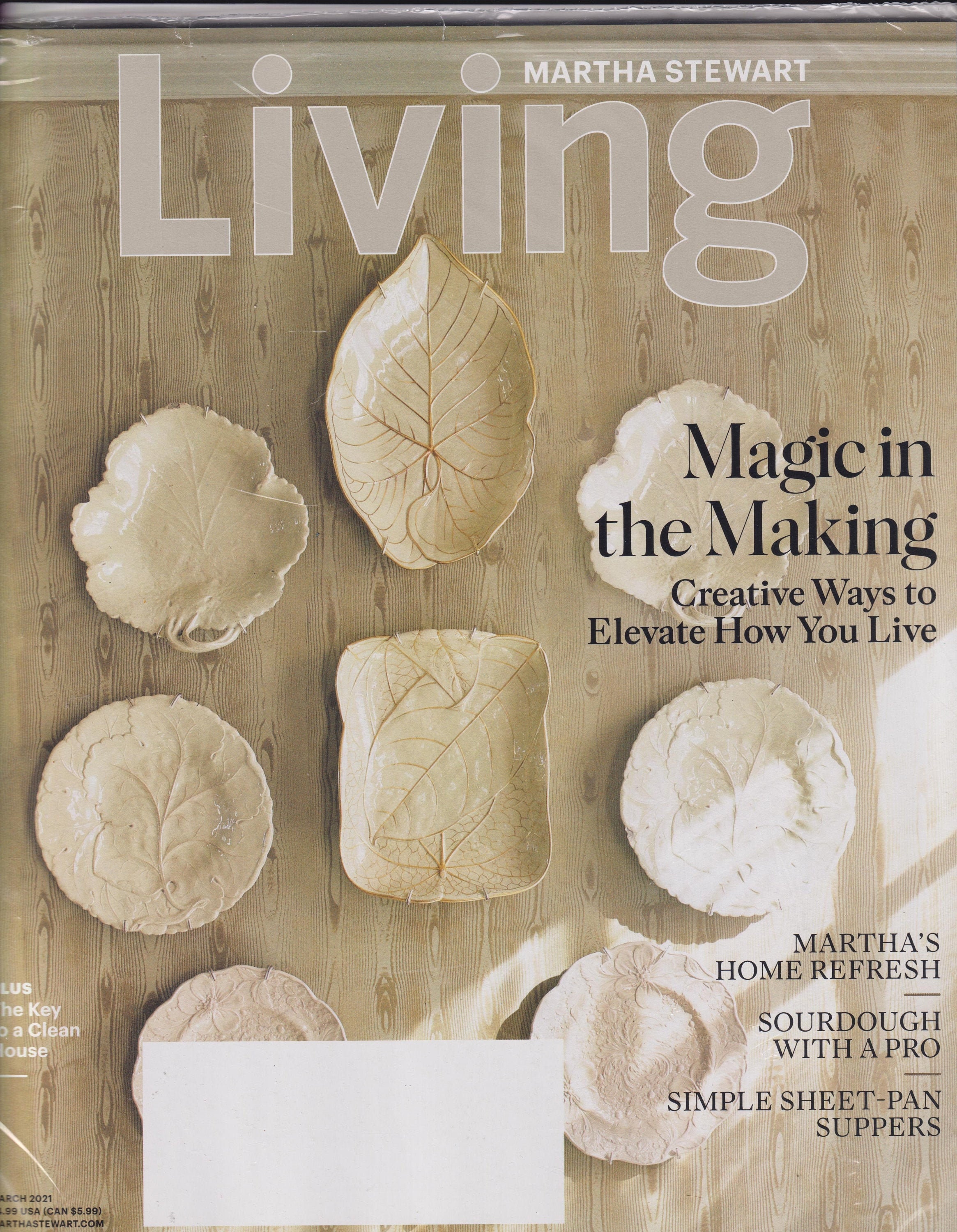 Martha Stewart Living March 2021 Magic In The Making Creative Ways To Elevate You How To Live Magazine Home Garden