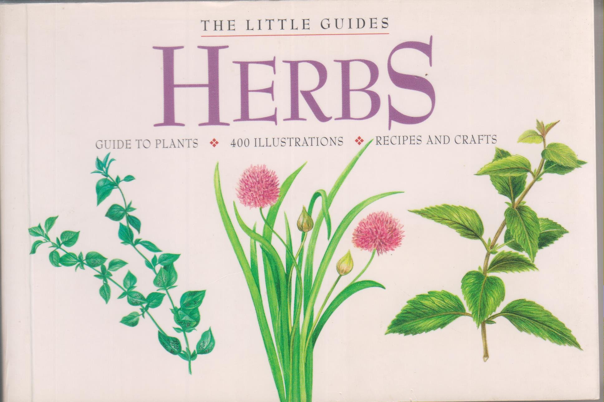 Herbs Guide to Plants, 400 Illustrations, Recipes and Crafts