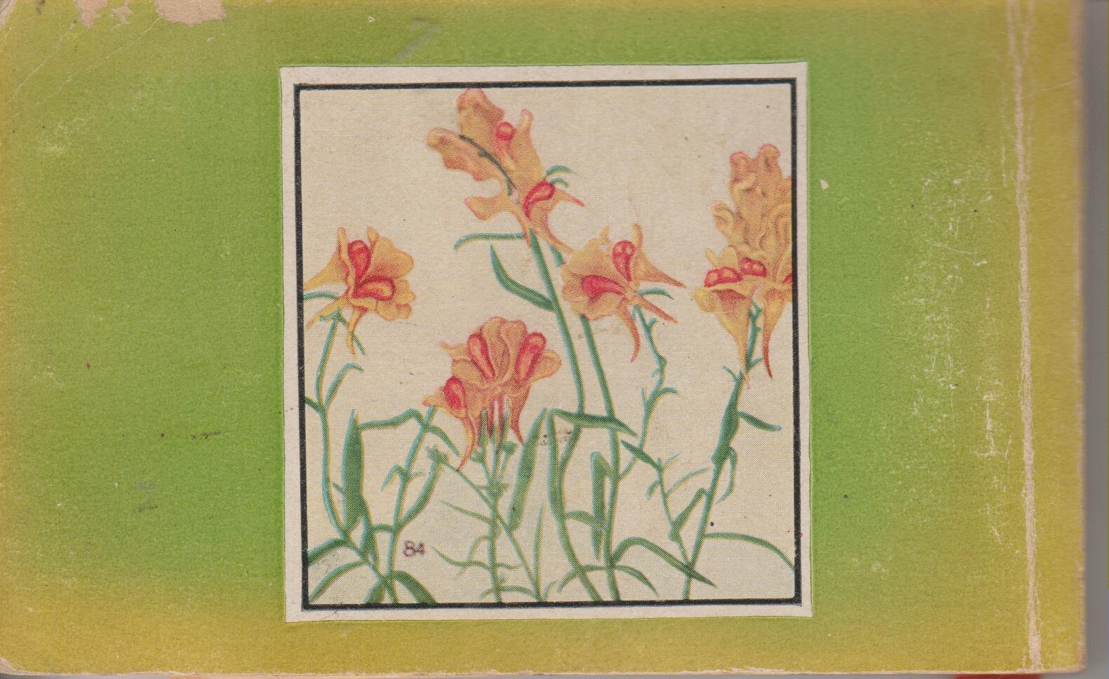 Wild Flowers of America (Paperback Gardening, Flowers) 1932