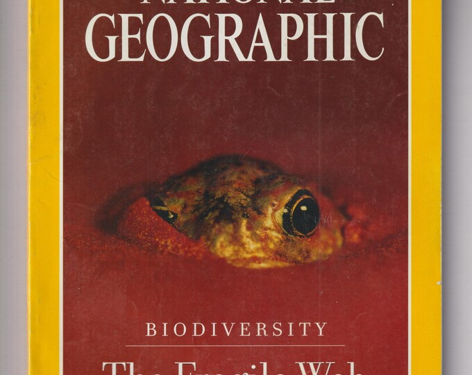 National Geographic and Map February 1999 Biodiversity - The Fragile Web (Magazine: Nature, Geography, History)