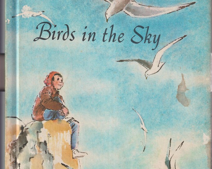 Birds in the Sky by Lucy and John Hawkinson (Hardcover: Picture book, Juvenile Fiction) 1965