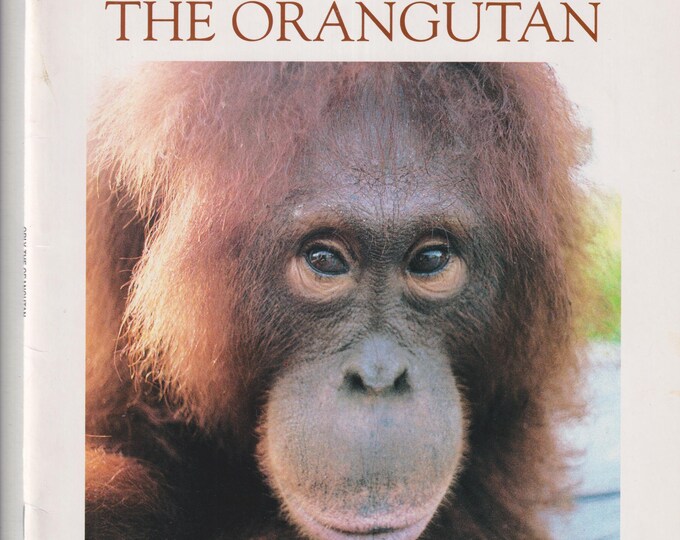 Orly The Orangutan  (Paperback: Juvenile Nonfiction, True-To-Life Books, ages 8-12) 2001