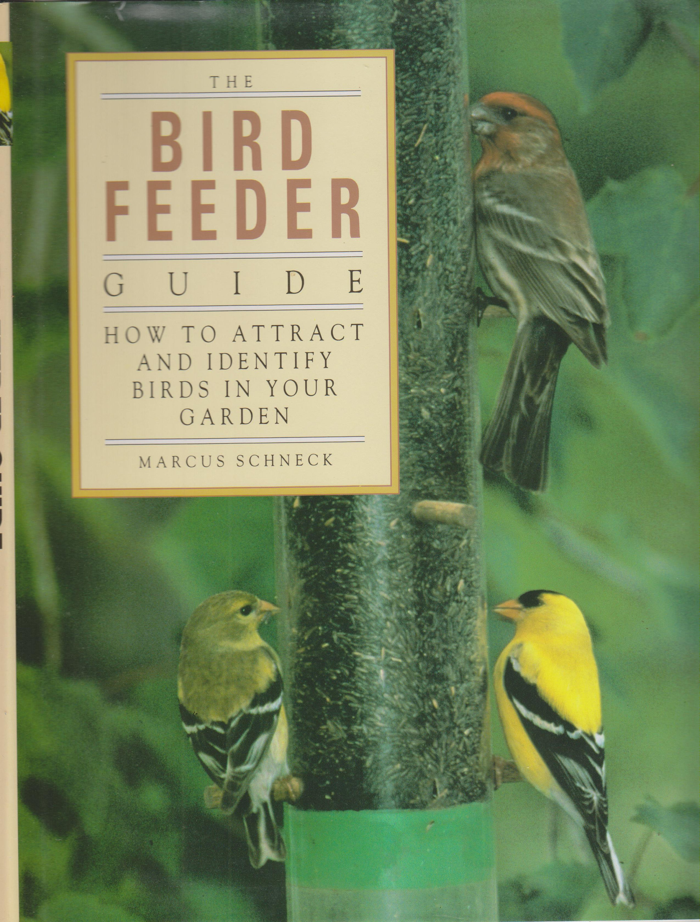 Bird Feeder Guide How to Attract and Identify Birds in Your Garden