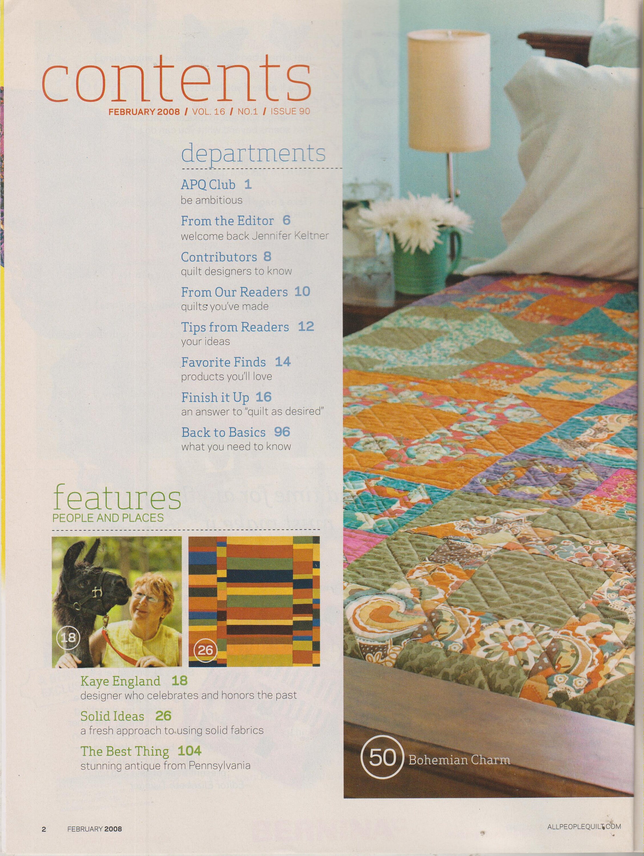 American Patchwork & Quilting February 2008 Stunning Solids 12 ...