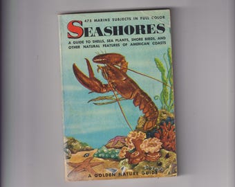 A Golden Nature Guide Seashores #496 (Paperback: Nature, Sealife) 1955