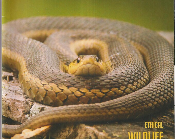The Conservationist August 2018 Ethical Wildlife Photography, Marvelous Mallards, Rome Sand Plains (Magazine: Conservation, Nature)