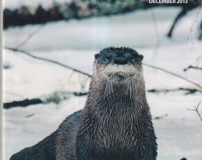 Conservationist Magazine December 2013 New York's River Otter, Long Island European Hare