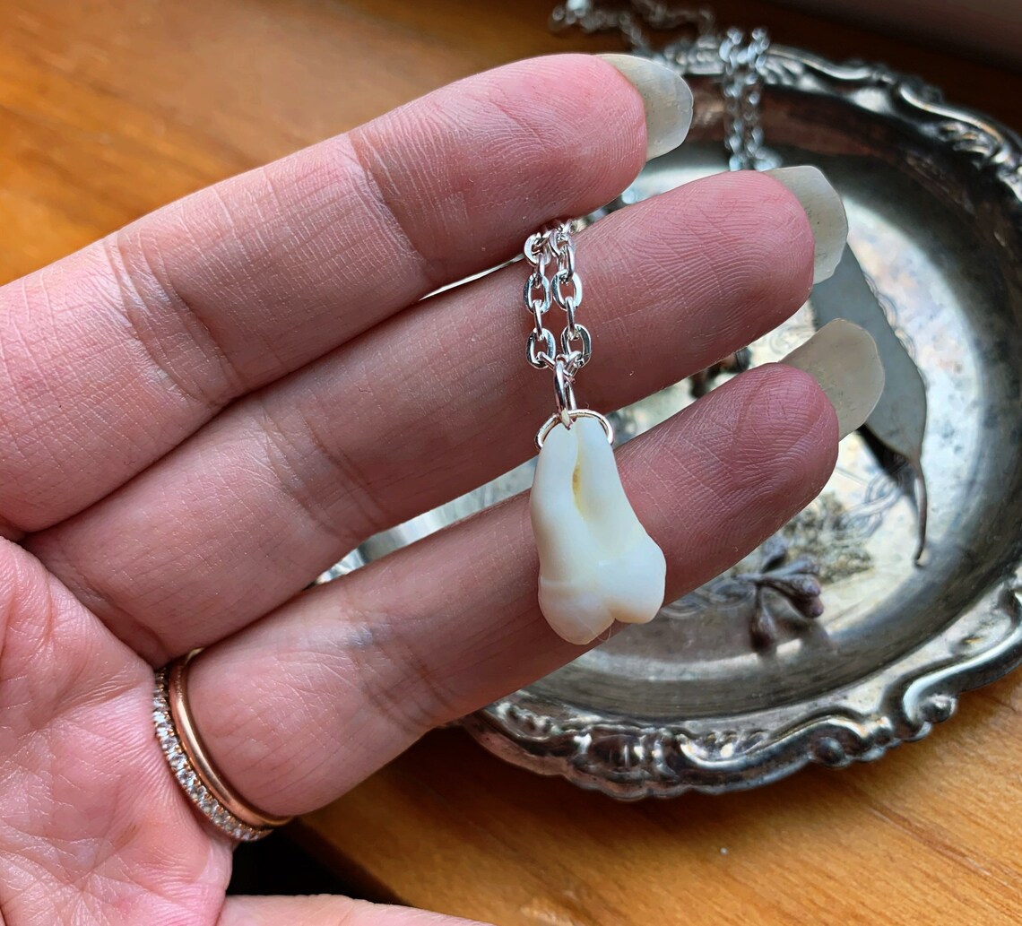 Real Human Tooth Necklace Etsy