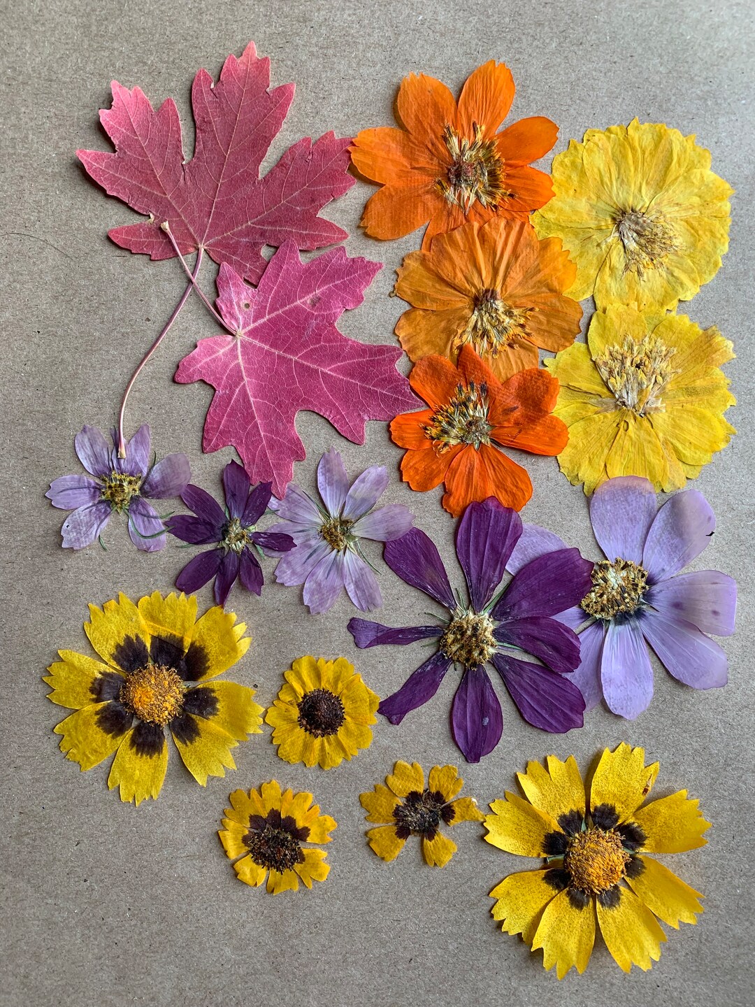 Mixed Dried Dye Flower Pack // Real Pressed Flowers // Dye Flowers
