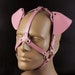 see more listings in the HEAD HARNESS section