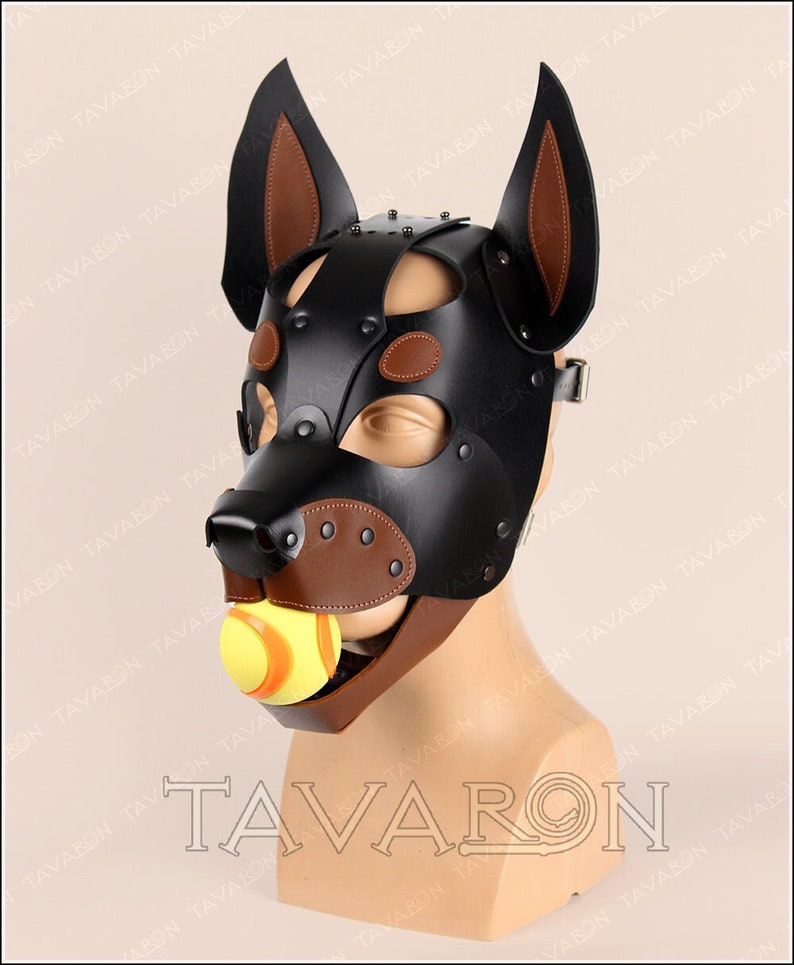 May include: A black leather dog mask with brown leather accents and a yellow ball in the mouth. The mask has a strap that goes around the head.