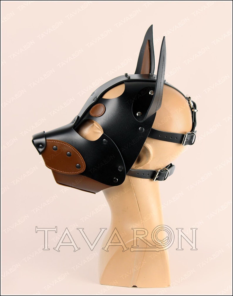 May include: A black leather dog mask with brown leather accents and metal rivets. The mask has two large ears and a strap that goes around the head.