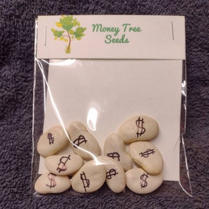 Money Tree Seeds