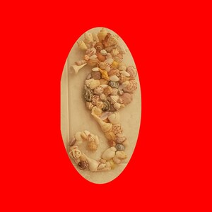 May include: A seahorse design crafted from seashells, set on an oval beige base against a red backdrop. The seahorse is composed of various small shells, creating a textured, natural appearance.