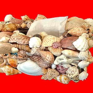 Tissue box cover - Oblong