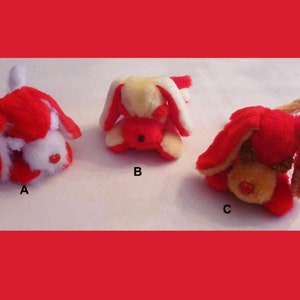 Valentine Puppies