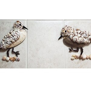 Shell Sand Pipers