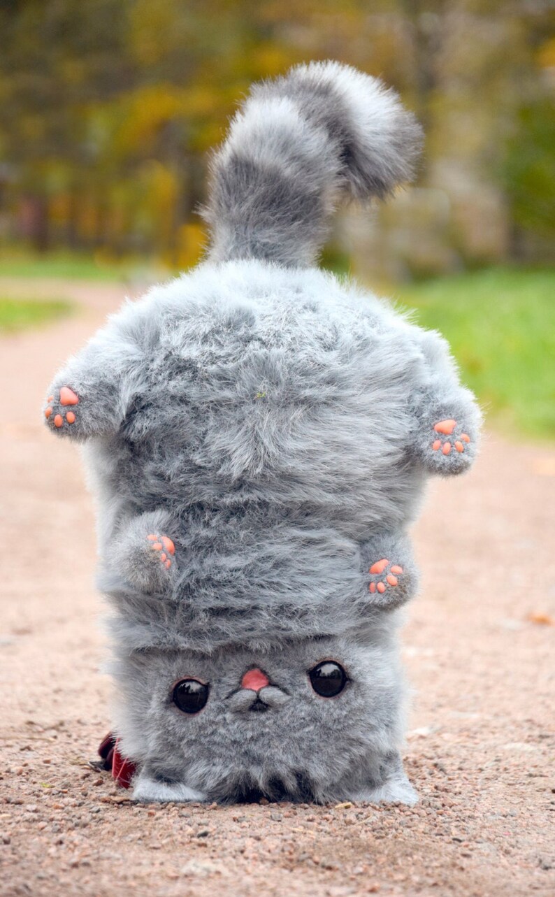 Pusheen cat