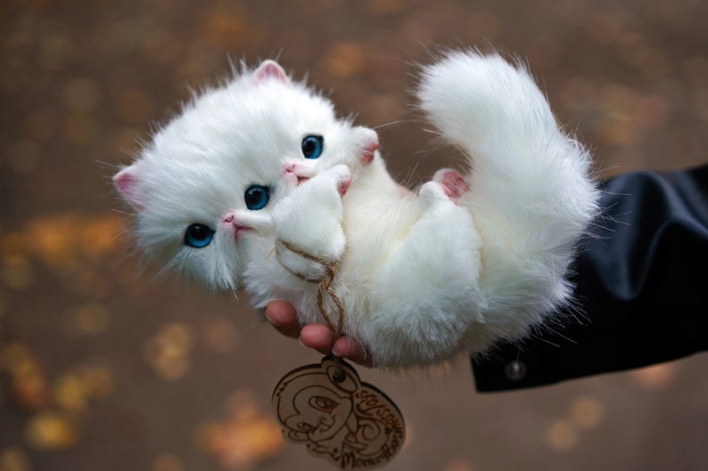 Milky Siamese Kitten Fantasy creatures Whimsical toys & pets Etsy