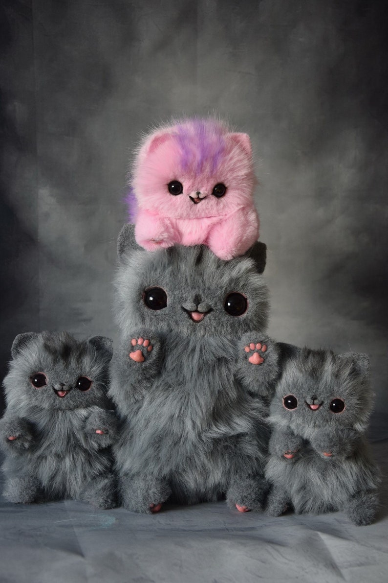 Pusheen cat