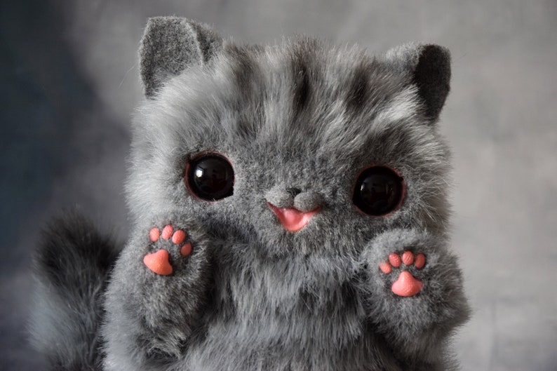 Pusheen cat