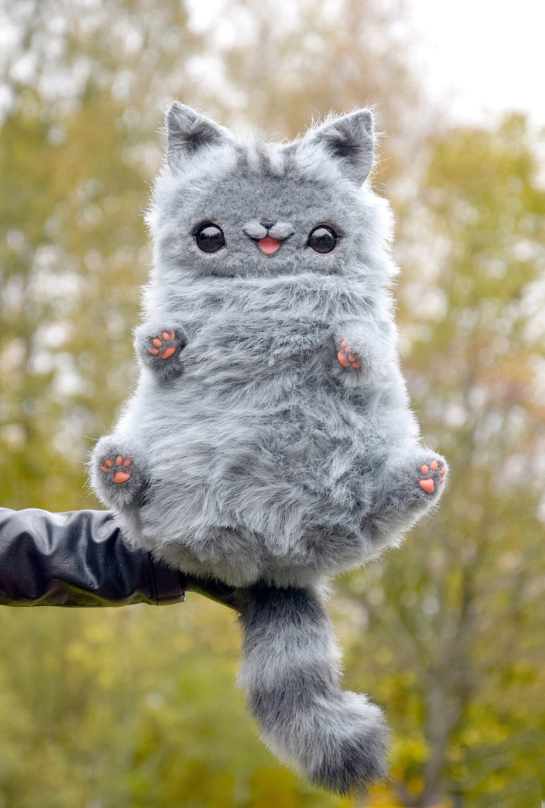 Pusheen cat