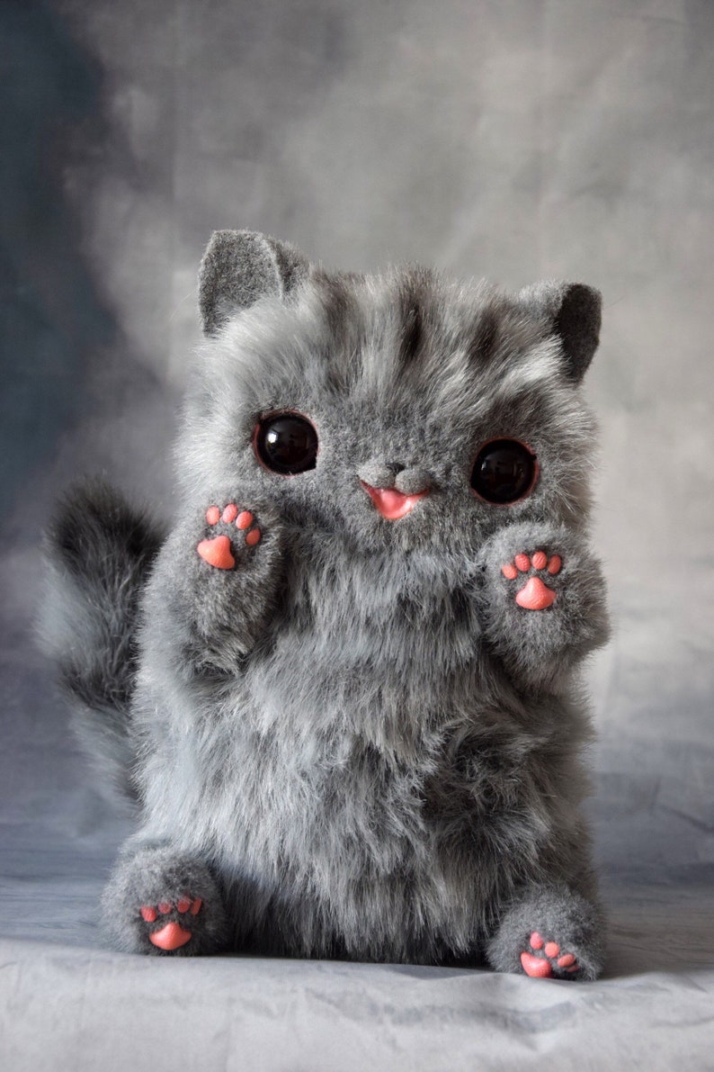 Pusheen cat