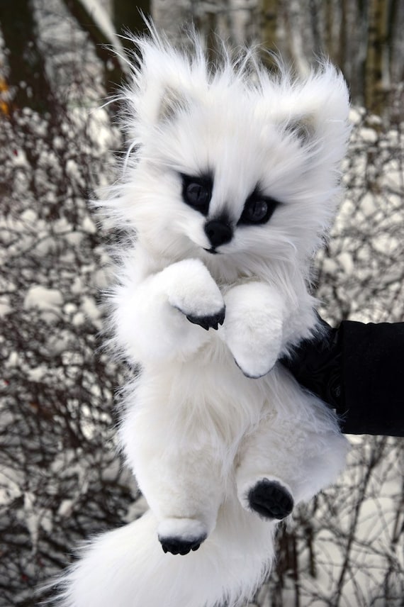white wolf teddy