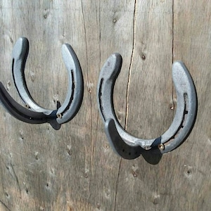 Horseshoe wall hook set (2) with free shipping!