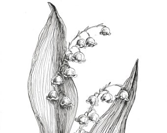 Lily of the valley print, lily of the valley drawing, lily sketch art, lily flower art, flower artwirk ink, pen and ink, black and white art