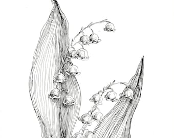 Arte do lírio do vale, arte de esboço original, flor de lírio, arte de esboço de lírio, esboço de flores silvestres, desenhos de lírio, desenho de flores silvestres, parede de lírio
