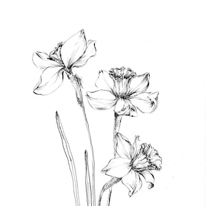 花の絵の牡丹、植物画、オリジナルの水墨画、花の水墨画アート