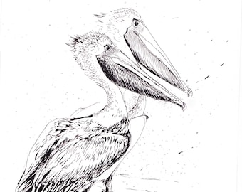 Pelican print, pen and ink art, pelican sketch, coastal decor, marine wall art, florida art, pelicans drawing, black and white,