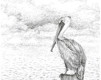May include: A black and white pen and ink drawing of a pelican perched on a wooden post in the water. The pelican is facing to the left and has its head tucked in. The water is depicted with wavy lines and the sky is filled with scribbled lines.
