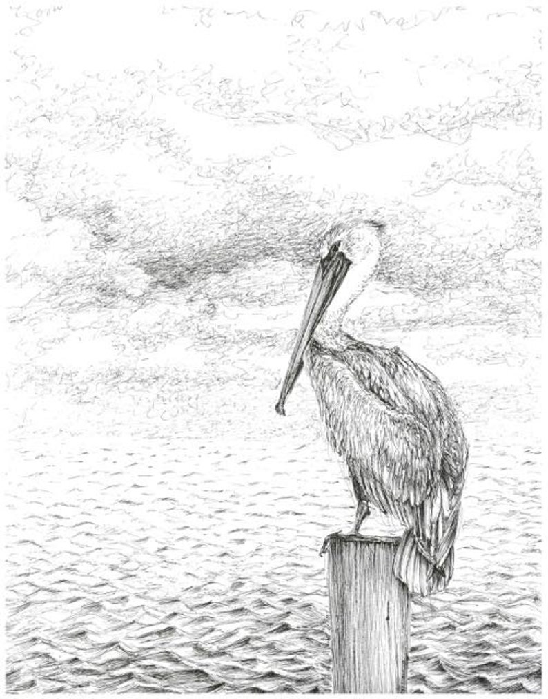Pelican Drawing Black and White Seascape Art Print Pen and - Etsy
