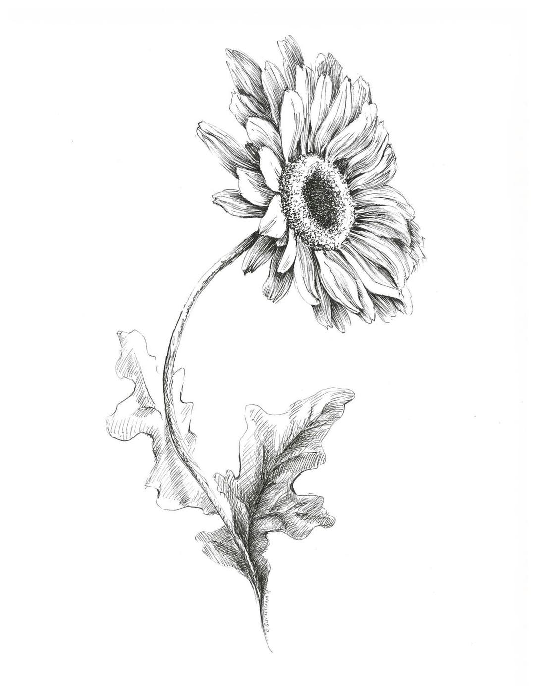 幻想的な女性と植物の鉛筆画 （つだなおこ | FCAアーティスト紹介）